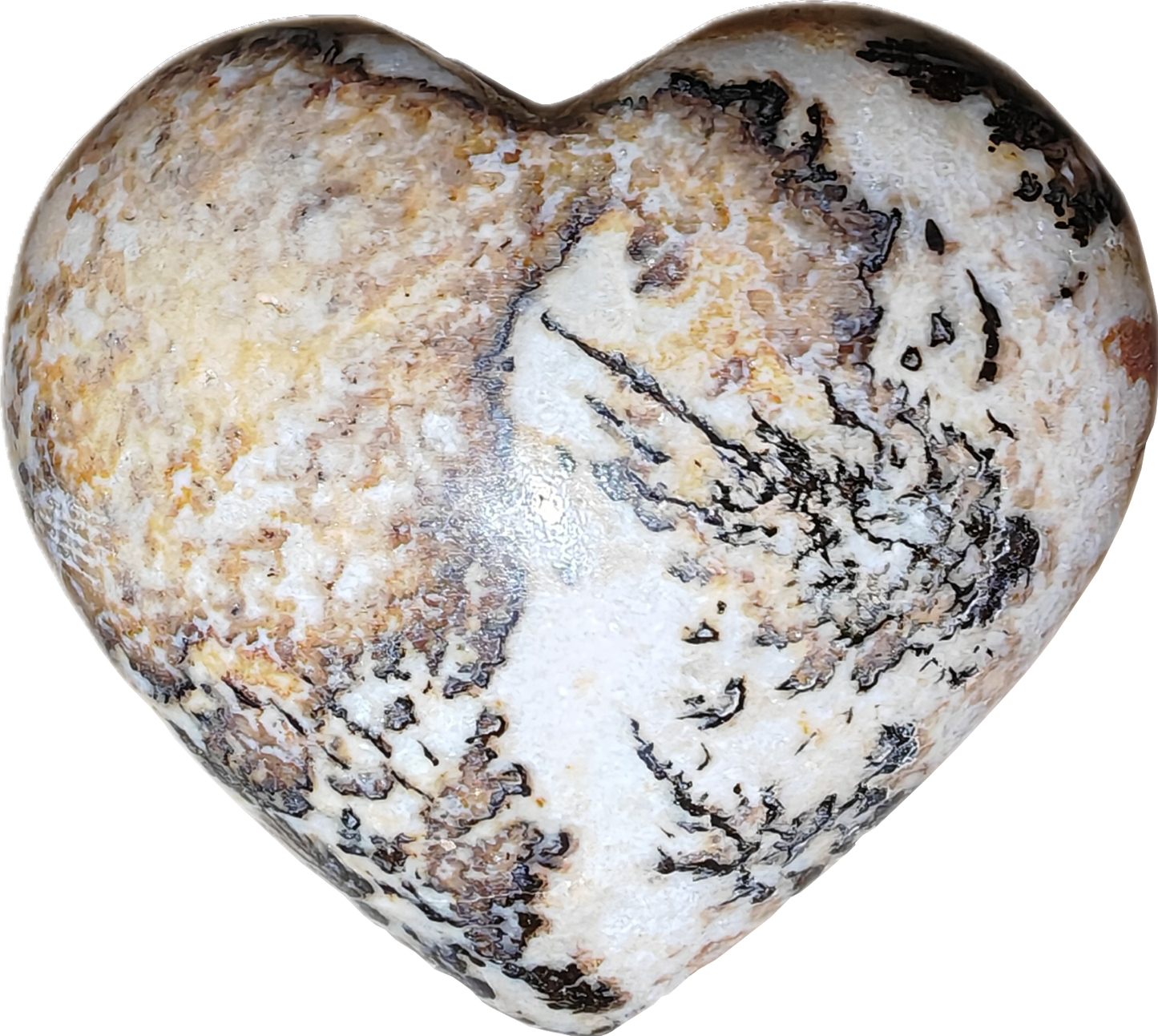 Jaspis dendriet (B)