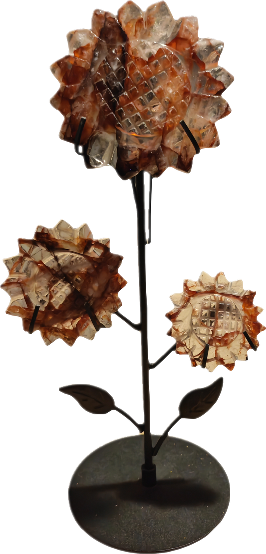 Firequartz (hematoïde kwarts/vuurkwarts) bloemen
