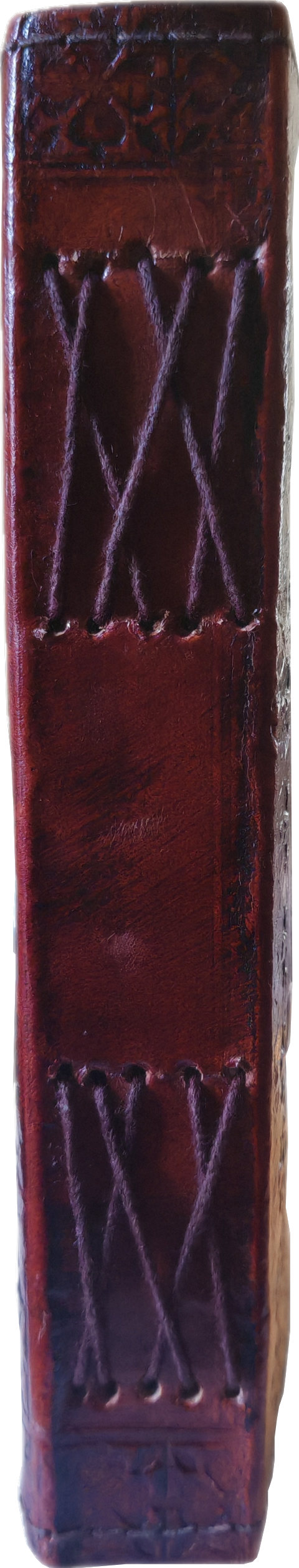 Journal "Tree of life"