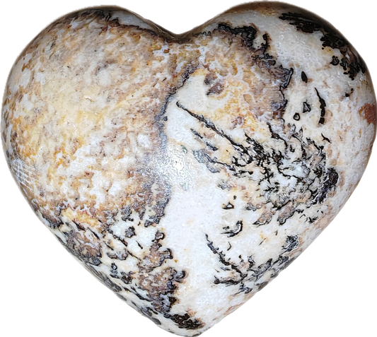Jaspis dendriet (B)