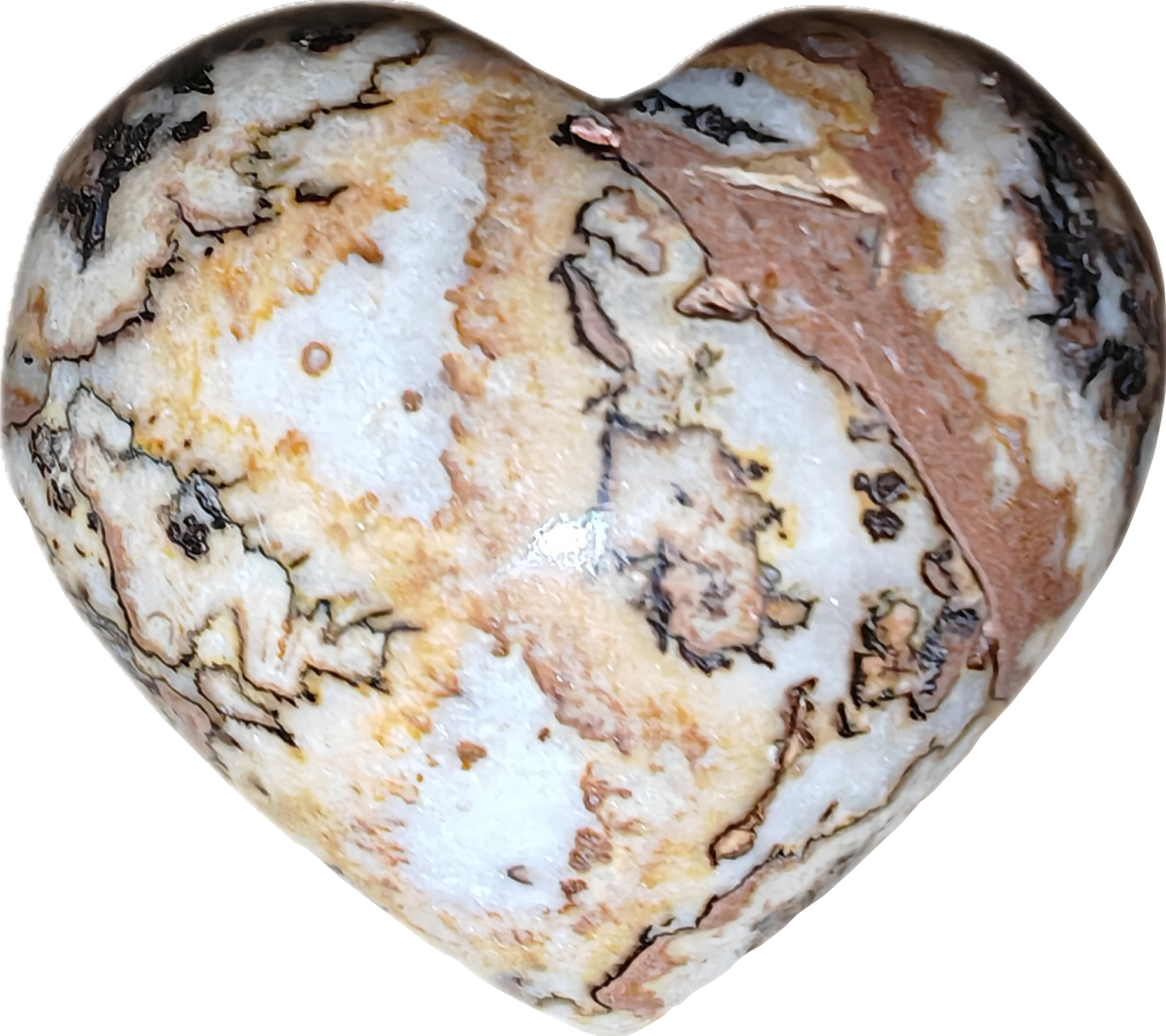 Jaspis dendriet (B)