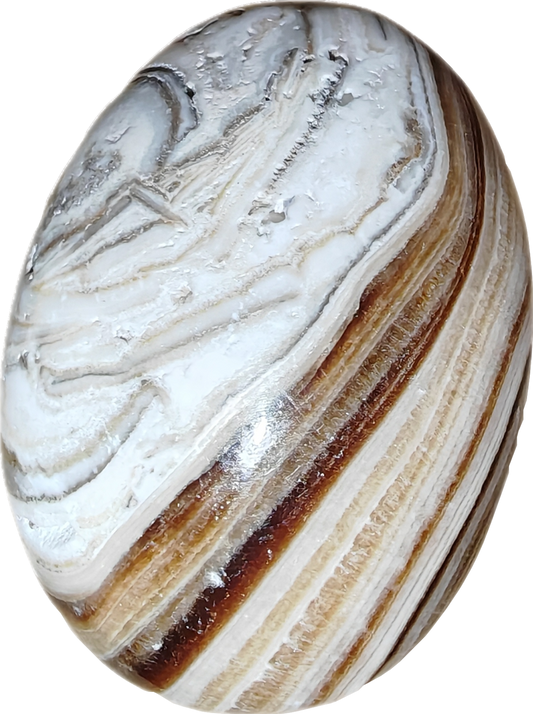 Bruine aragoniet palmsteen (B)